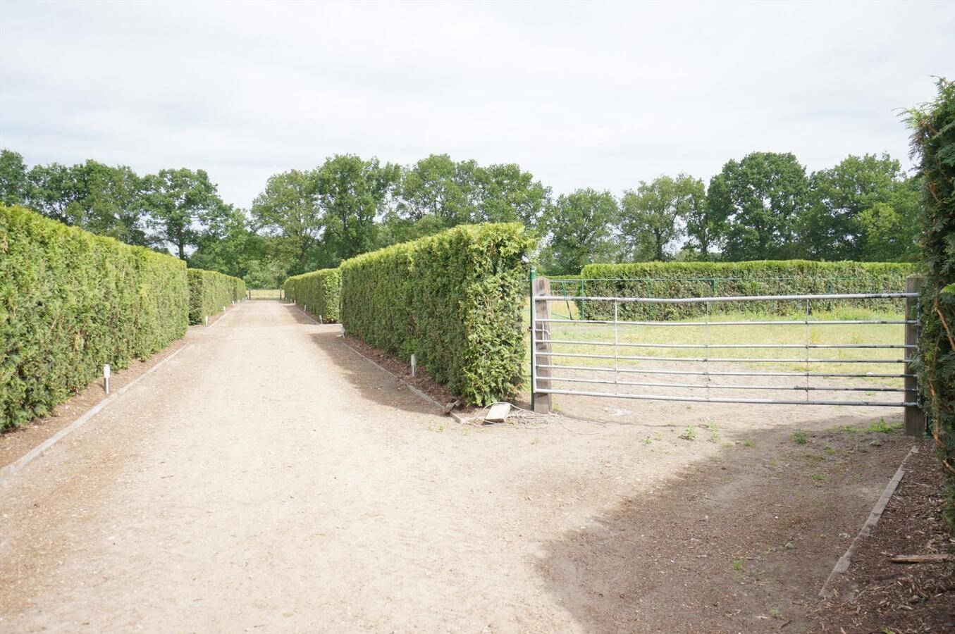 Hoeve met binnenpiste en stallen op ca. 3,36 ha te Lommel (Kerkhoven) 