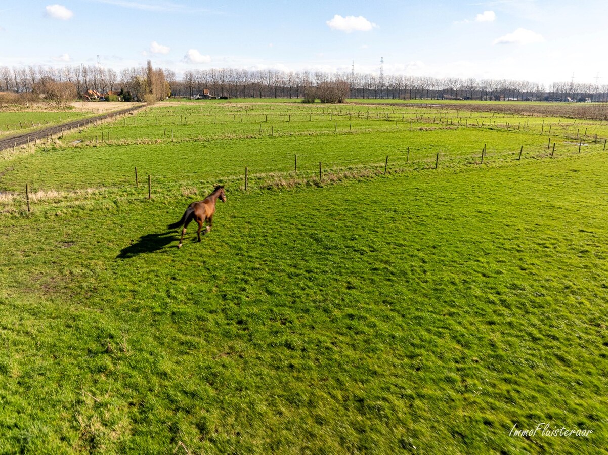 Interesting horse property with expansive views on approximately 7 hectares. 