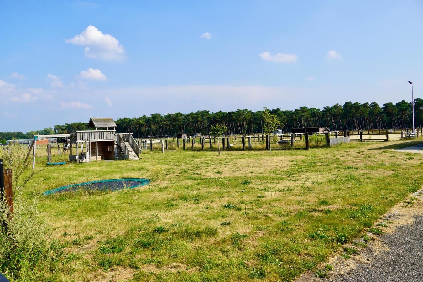 Gerenoveerde hoeve met paardenstallen en buitenpiste op ca. 1,6 ha te Vlimmeren 