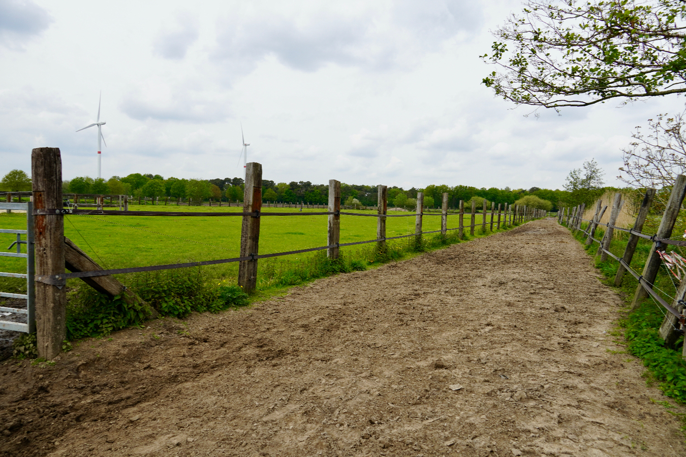 Unieke Ranch op 4,5ha te Kalmthout 