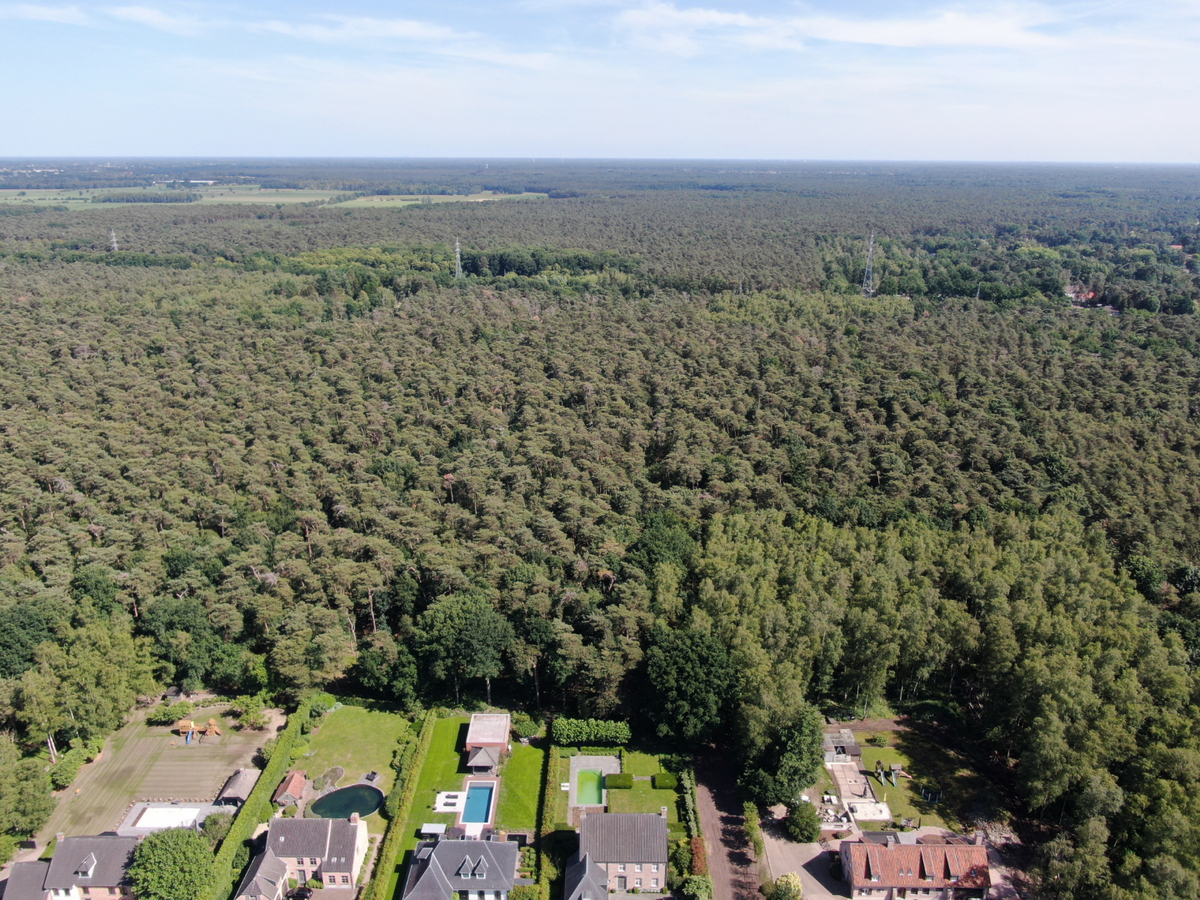 Uitzonderlijk rustig gelegen perceel van 2.500 m&#178; met priv&#233; oprijlaan van ca. 60 m grenzend aan natuurgebied te Brecht. 