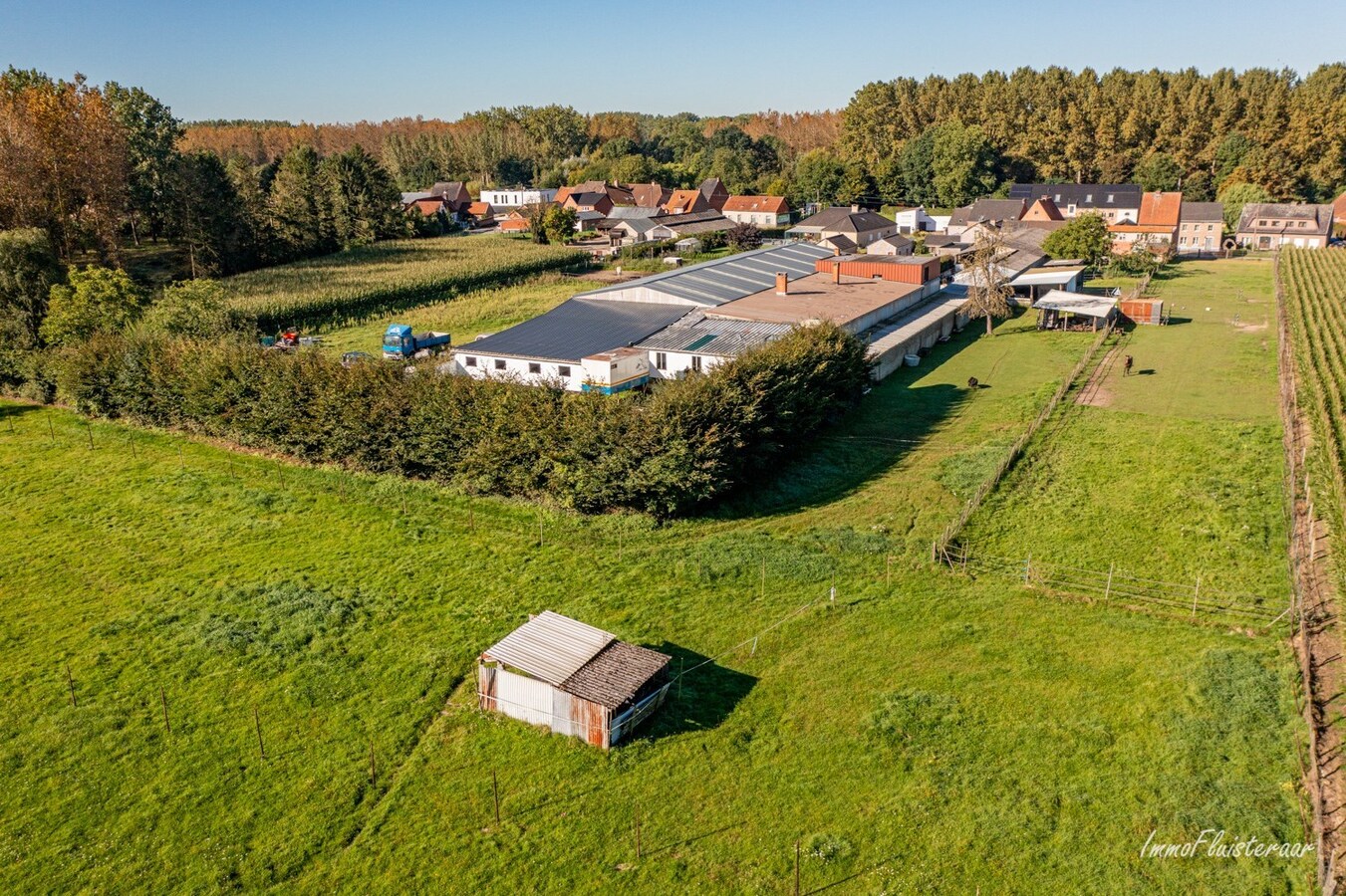 Paardenaccommodatie met binnenpiste op ca. 6ha te Wellen 