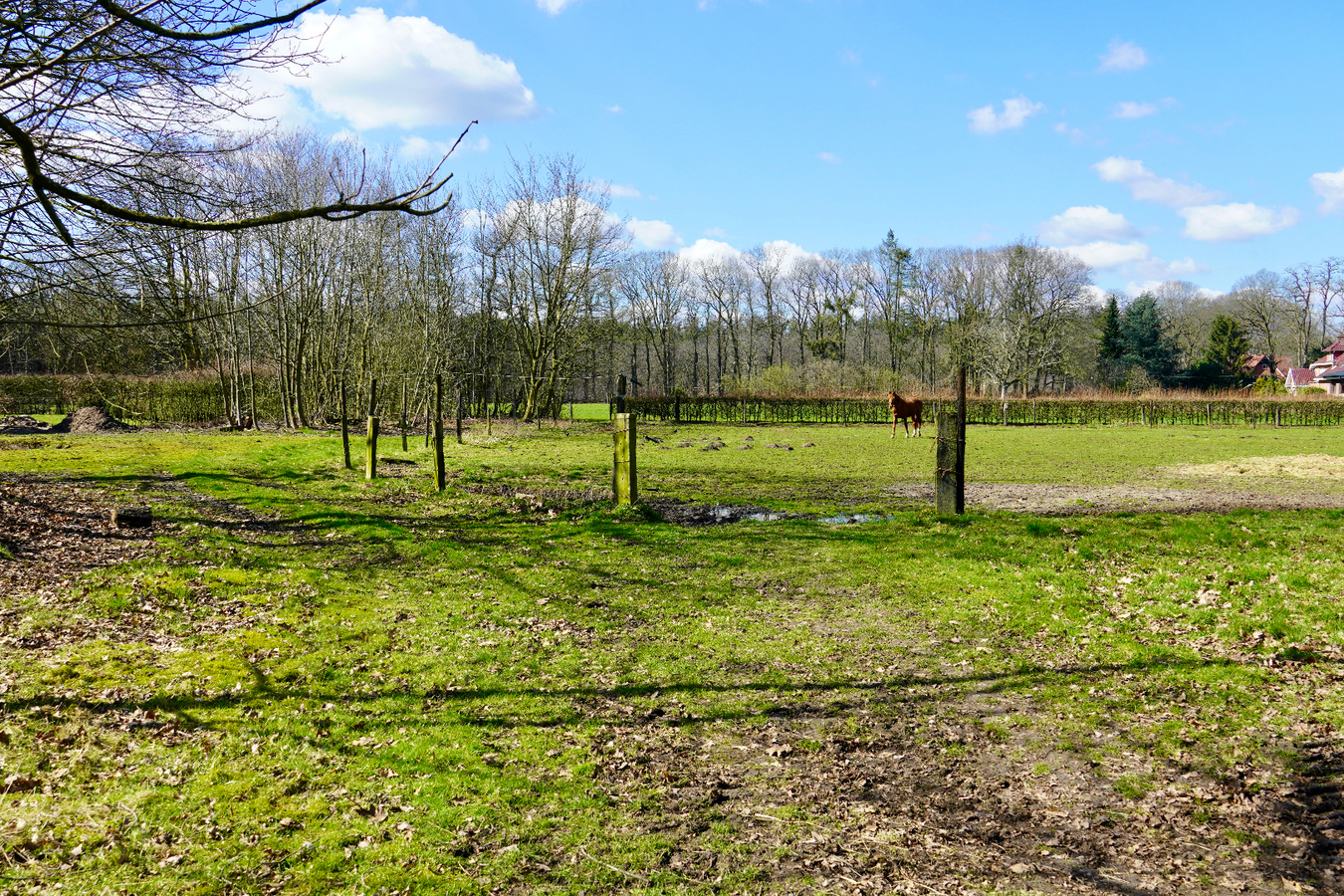 Charmante hoeve met paardenstallen en aanhorigheden op  ca. 15 Ha te Poppel 