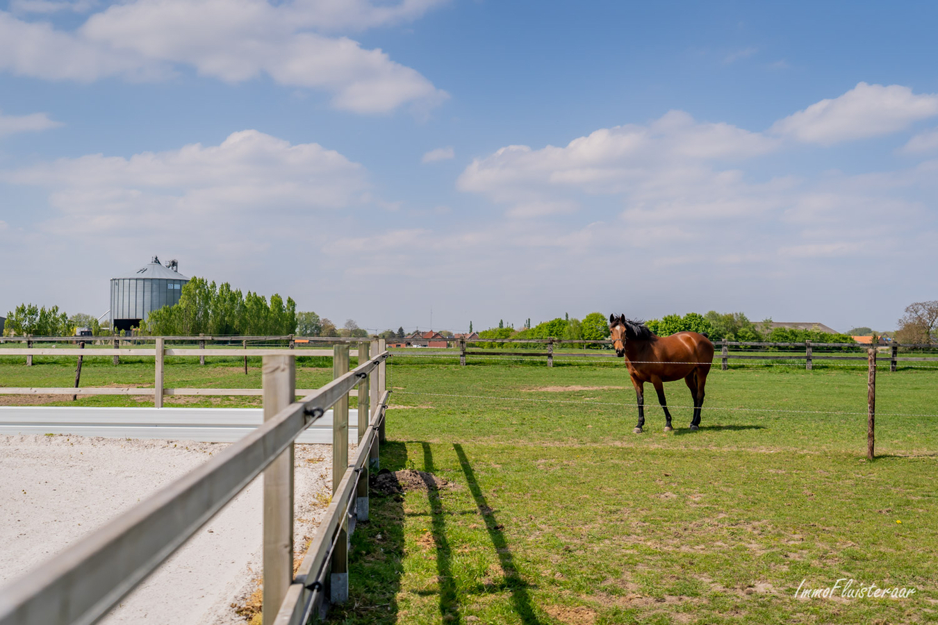 Hippische accommodatie te Bree op ca. 3,6ha 