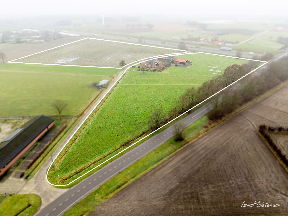 Karakteristieke hoeve met grote schuur op ca. 2 ha te Hoogstraten (Aankoop extra overliggend weiland van ca. 4 ha mogelijk) 