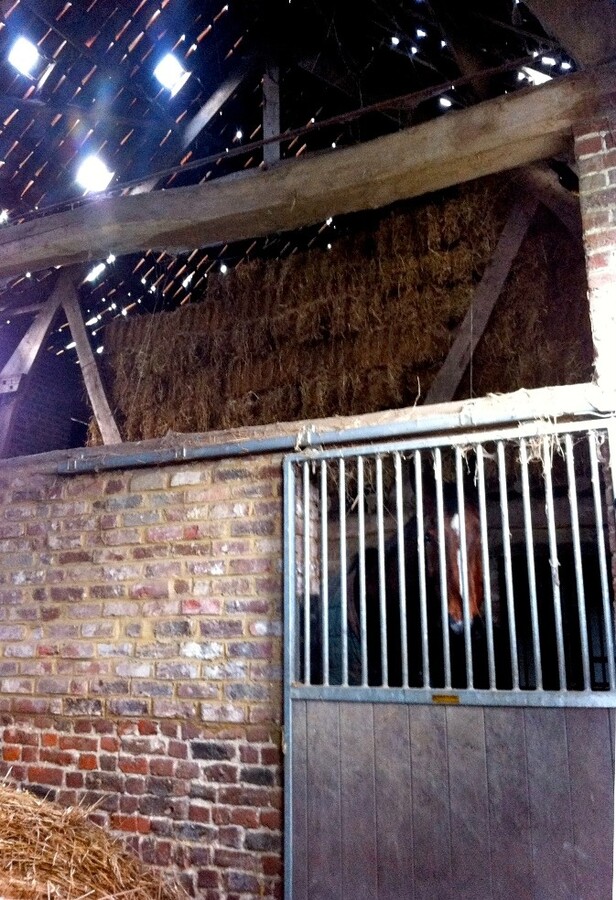 Authentieke boerderij van ongeveer 1,4ha aan de voet van de Vlaamse Ardennen 