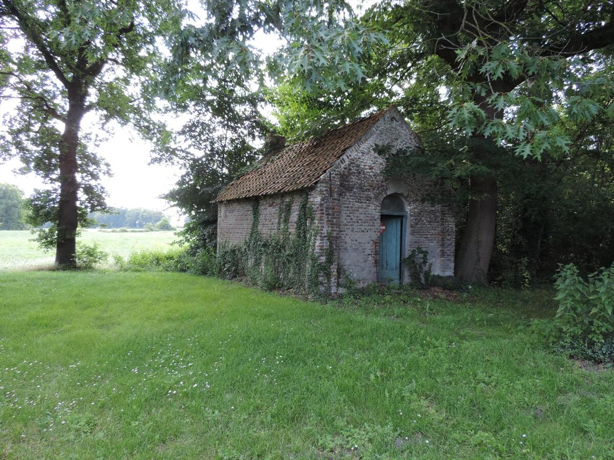 House with authentic farm in 5ha in Bree 