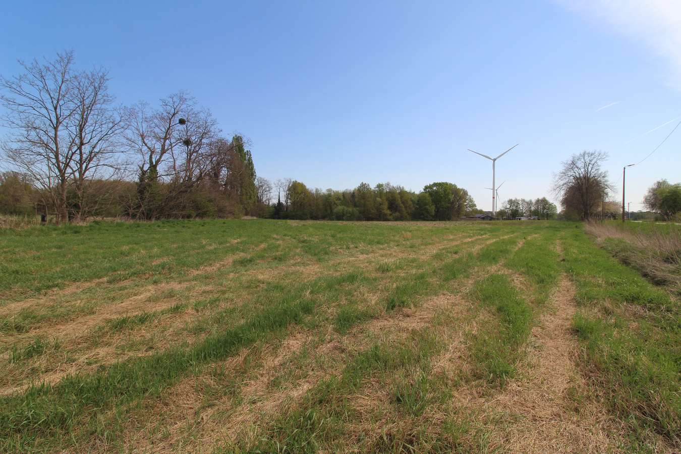Pasture land for sale in Bekkevoort