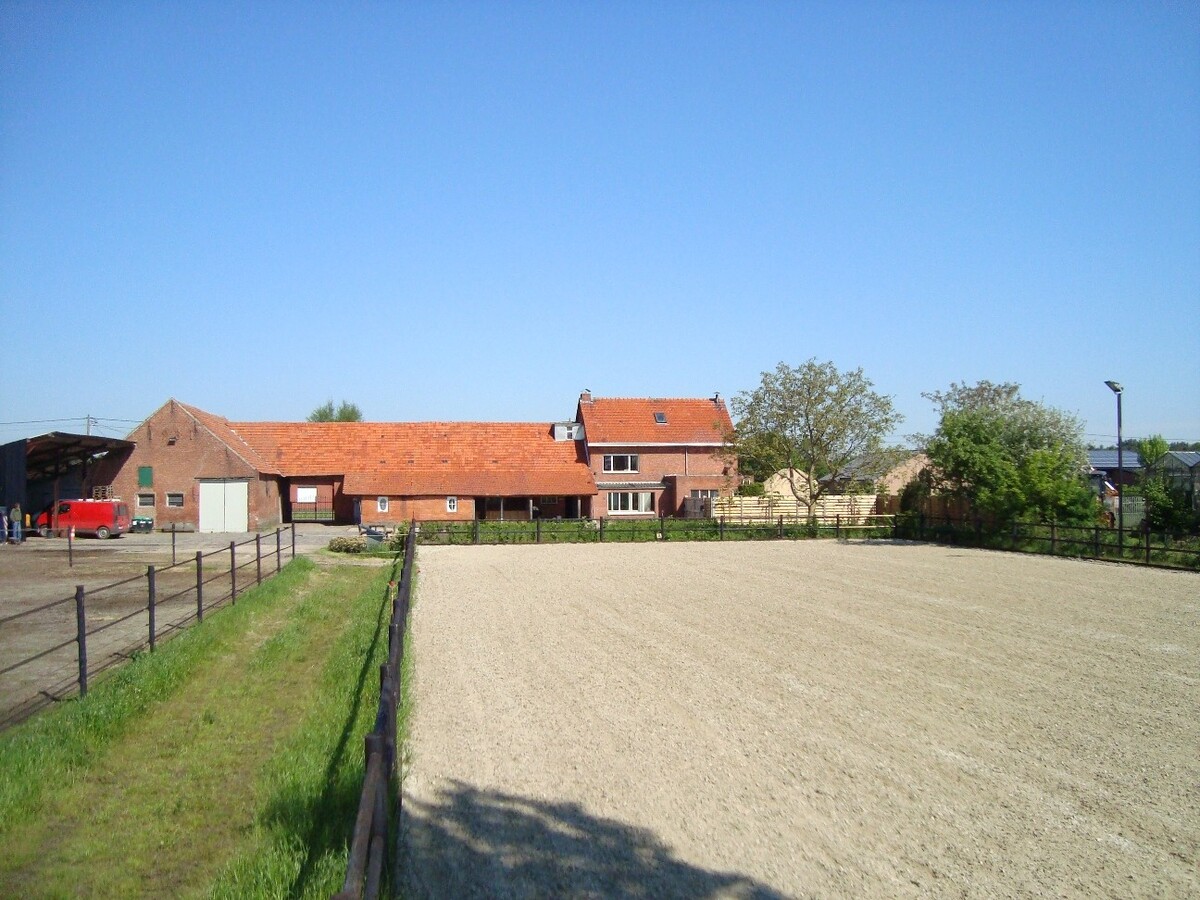 Boerderij met stallen op ca. 1 ha te Wuustwezel (VIRTUAL TOUR) 