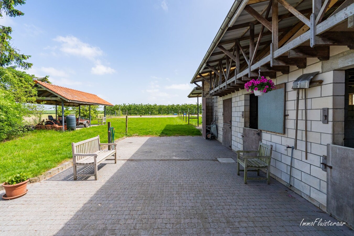 Prachtige woning met paardenaccommodatie op ca. 48a te Landen 