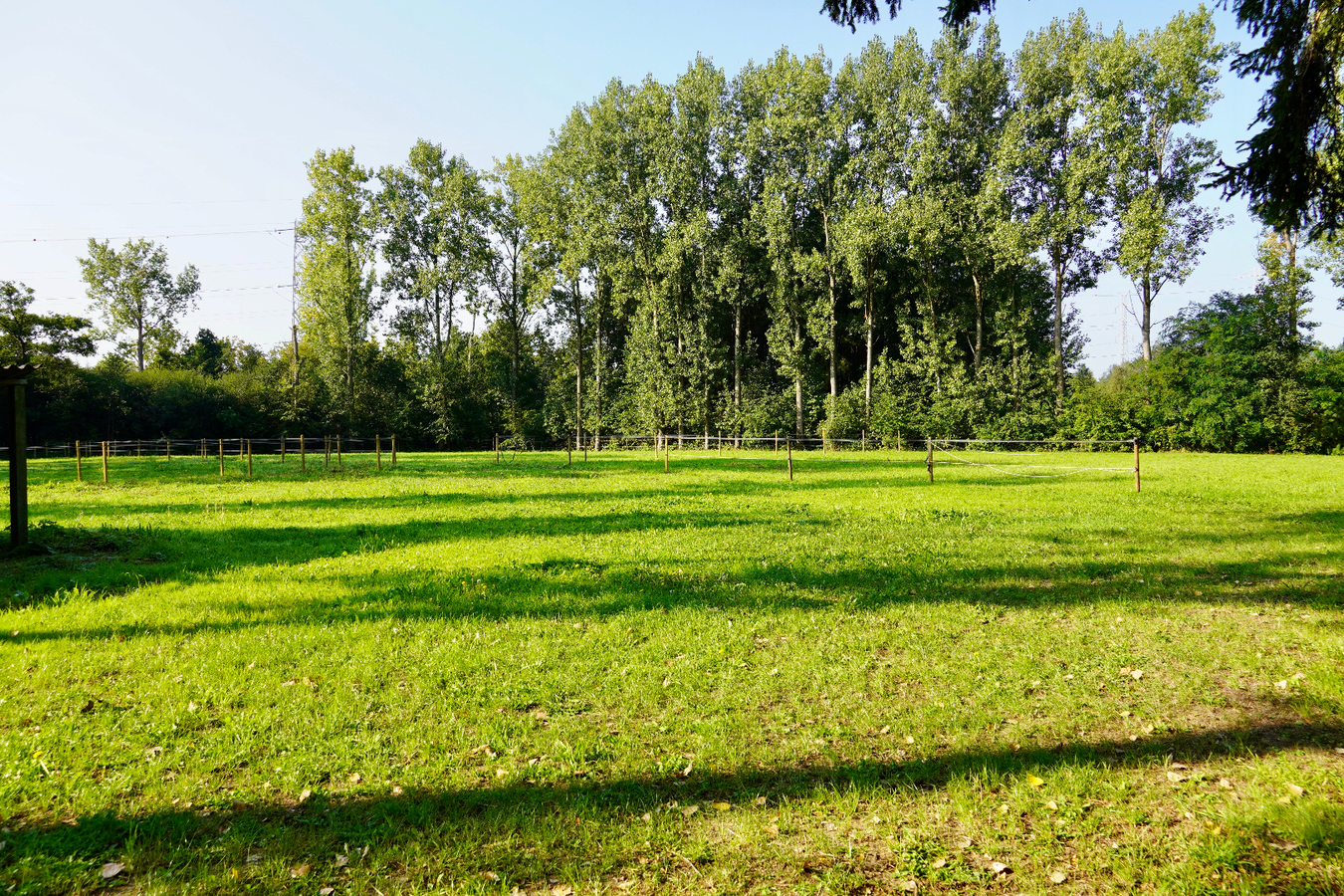 Unieke eigendom met woning , weides en vijver op ca. 5,3 ha te Geel 