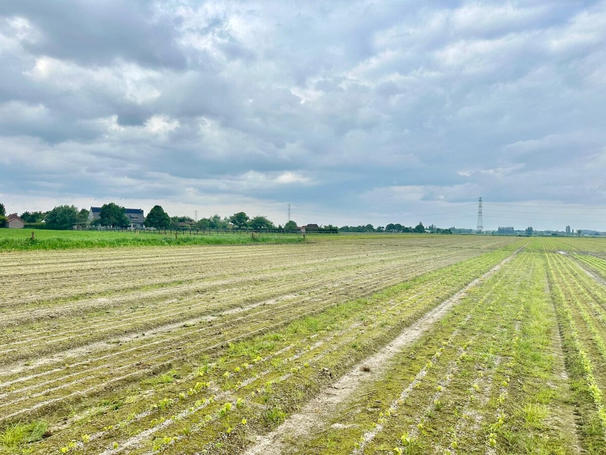 Terrain agricole a vendre À Lievegem