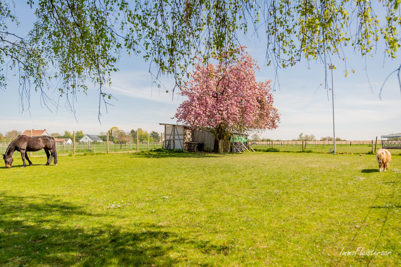 Belle maison de campagne sur env. 1ha &#224; Zittert-Lummen (Jodoigne/Brabant wallon) 