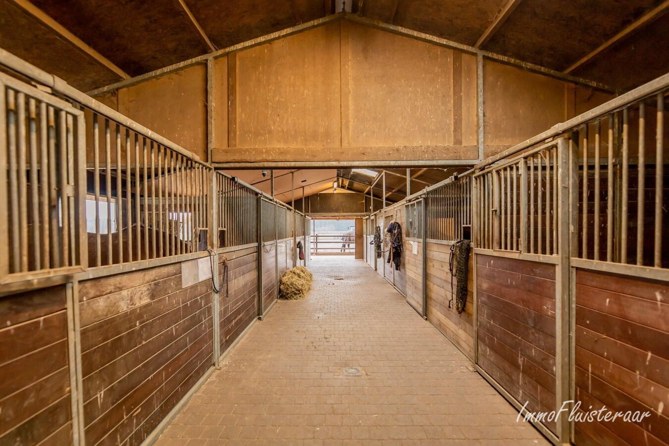 Charming property with horse accommodation on 3,7 ha in Rijkevorsel 