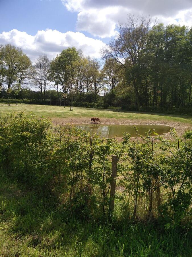 Verder af te werken hoeve op ca. 8832m2 te Geel 