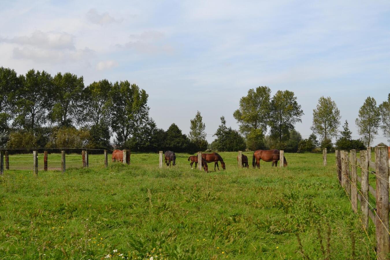 Prachtige kustpolderhoeve op ca. 5,35Ha regio Veurne (W-Vl) 