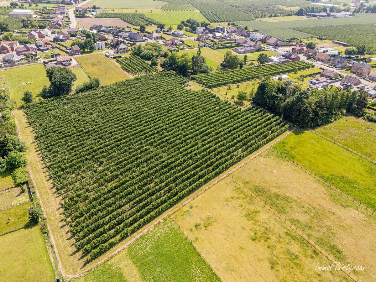 Land for sale in Herk-de-Stad