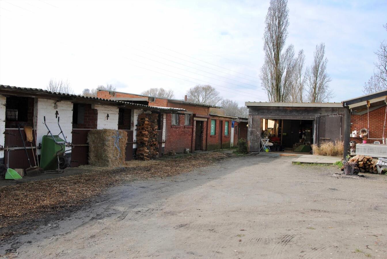 House with stables on approximately 45a in Oelegem, possibility to buy 1,5ha 