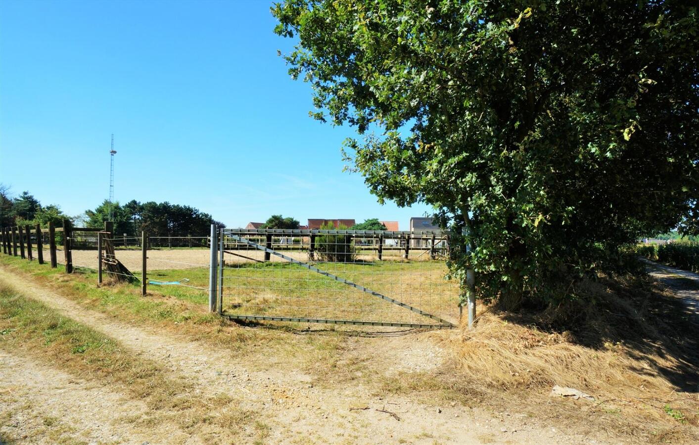 Farm sold in Opoeteren