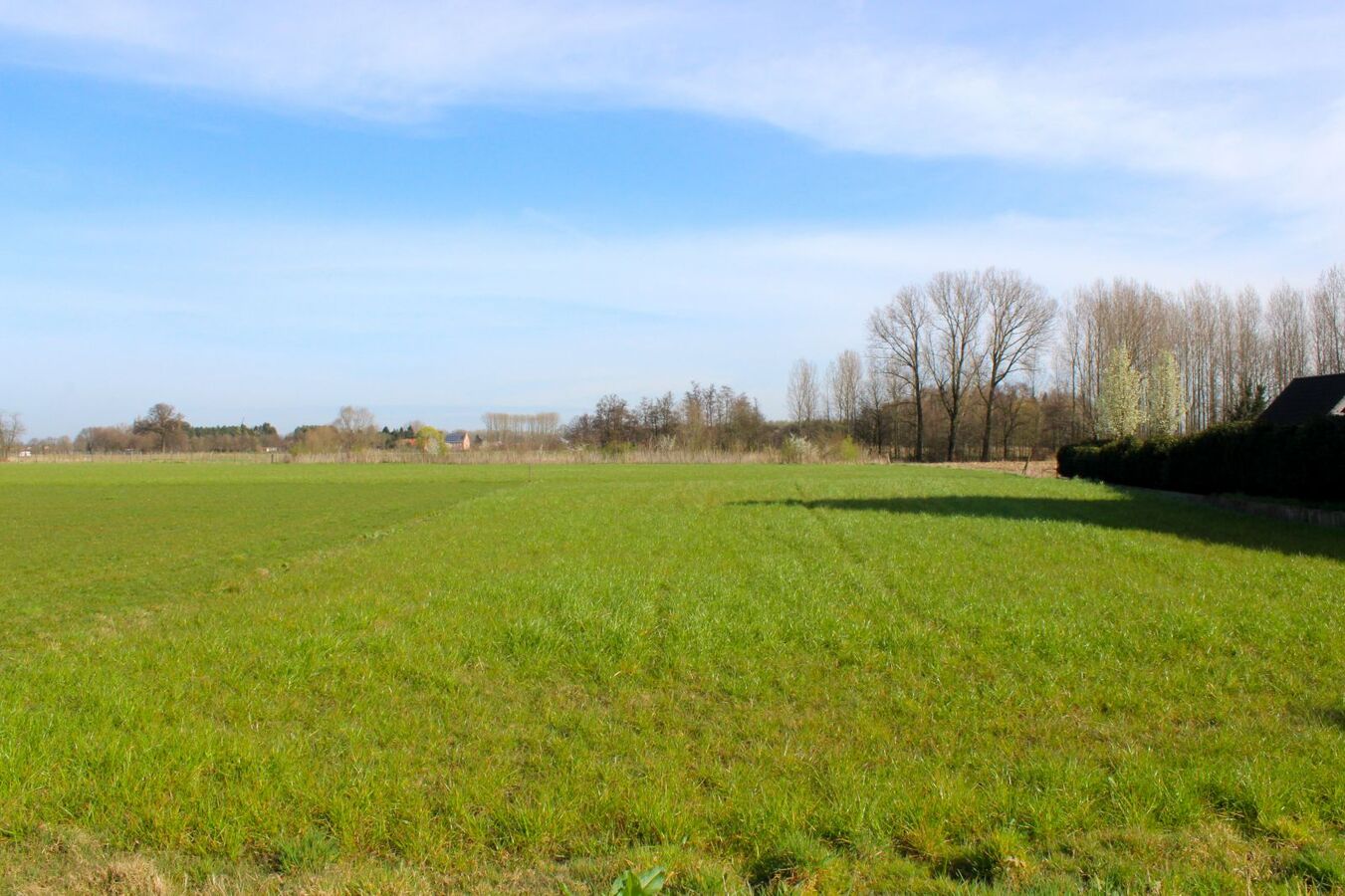 Uniek gelegen bouwgrond met weide op ca. 1,2ha te Emblem 