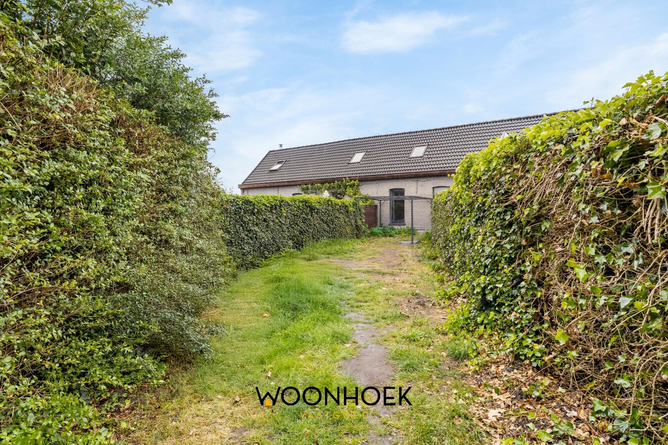 IN OPTIE! 