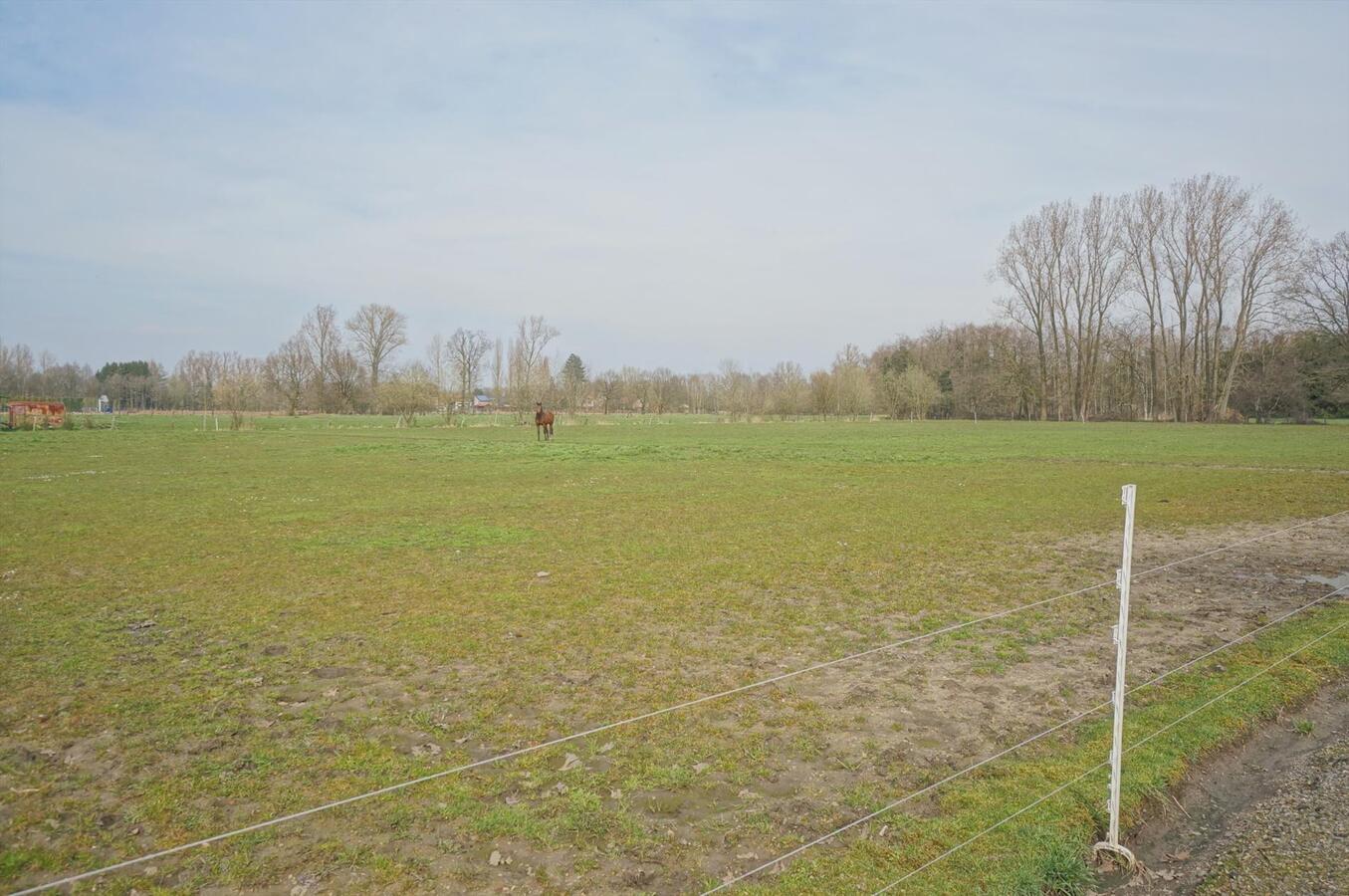 Hoeve met stallingen op ca. 2 ha te Ramsel 