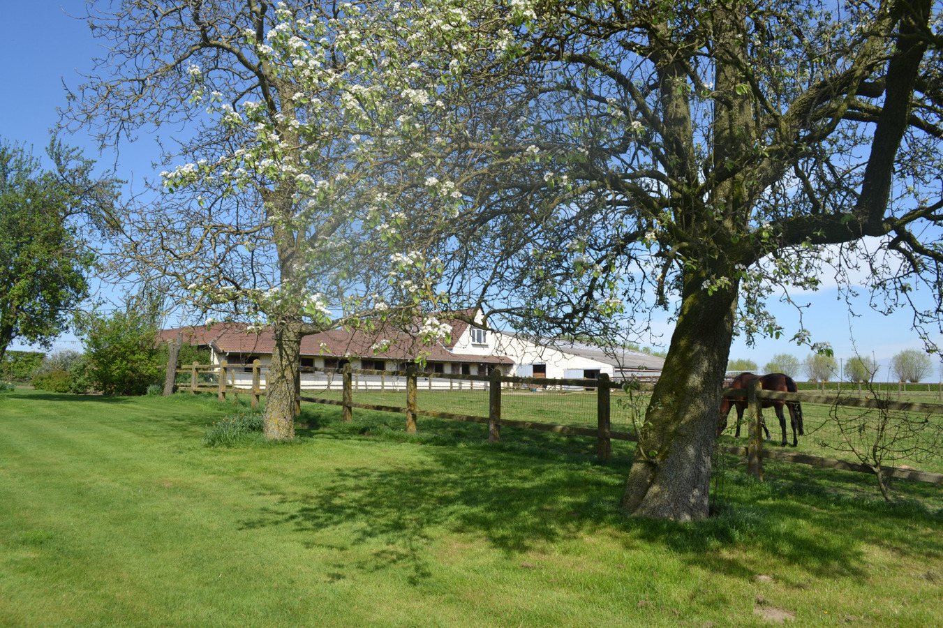 Hippisch complex te Huise (Zingem) op ca. 2Ha 