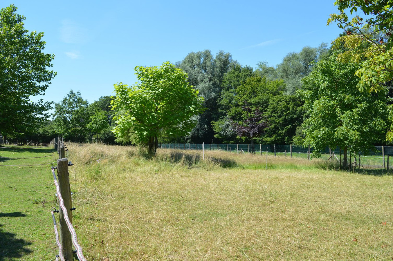 Mooie gezinswoning met stalgebouw en piste op ca. 5400m&#178; te Dworp 