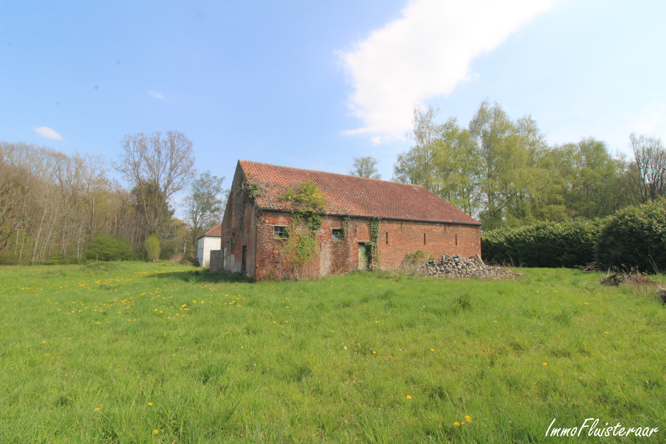 IN OPTIE - Te renoveren woning met stalgebouw/landgebouw en grond op ca. 4,20ha te Aarschot (Vlaams-Brabant) 