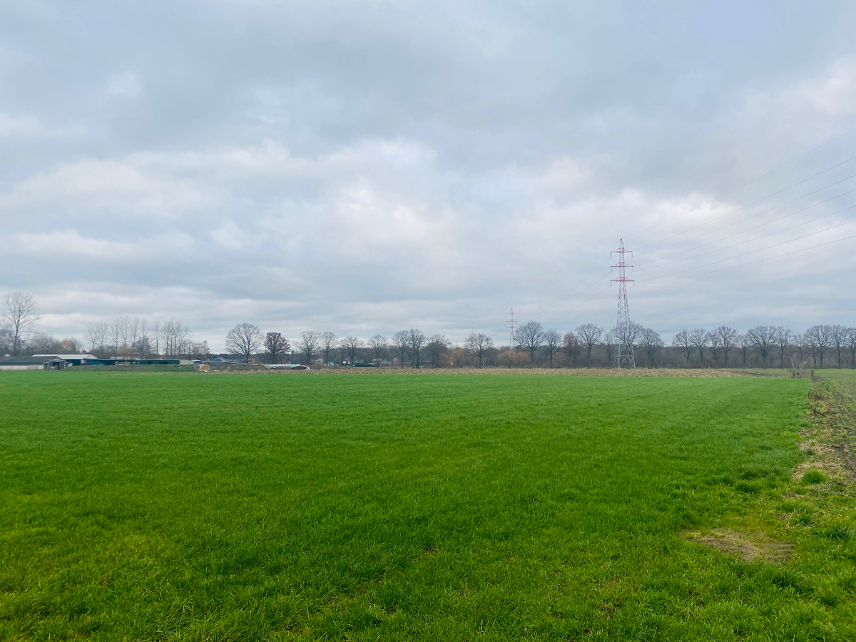 Boerderij met charmante woning, ruime stalgebouwen en weides te koop op ca. 8ha te Bocholt 