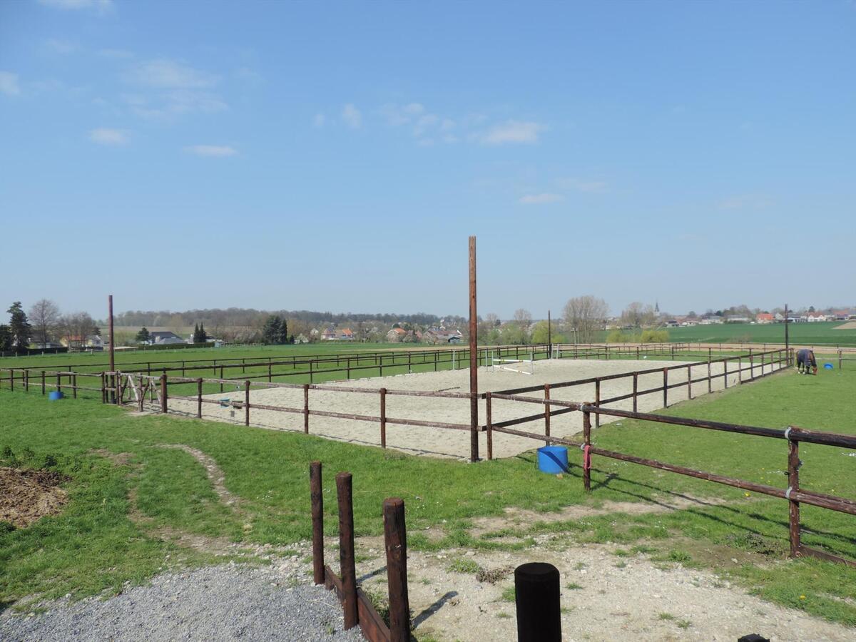 Gezinswoning met paardenstallen, buitenpiste en weides op ca. 1 ha te Gingelom 