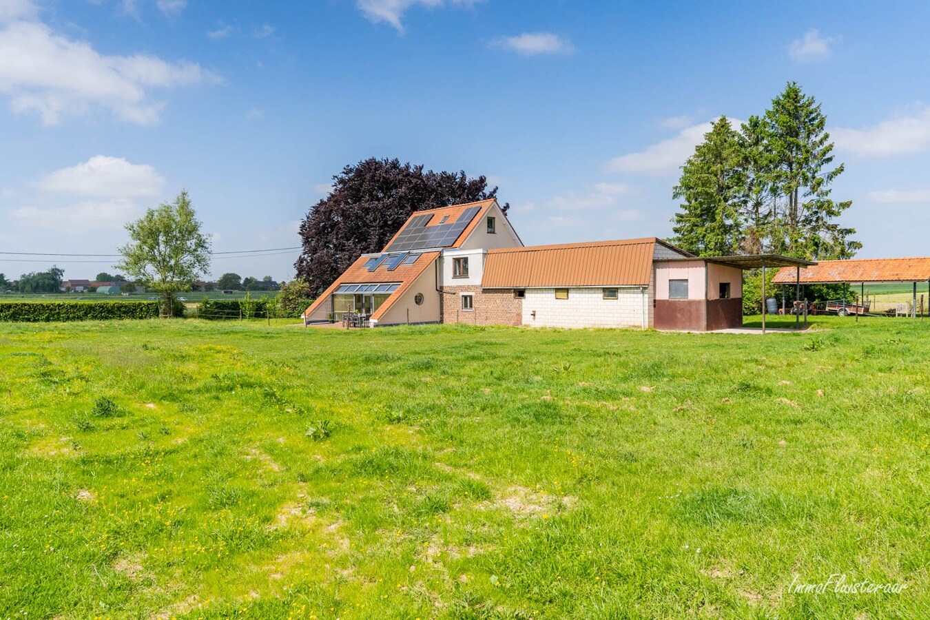 Prachtige woning met paardenaccommodatie op ca. 48a te Landen 