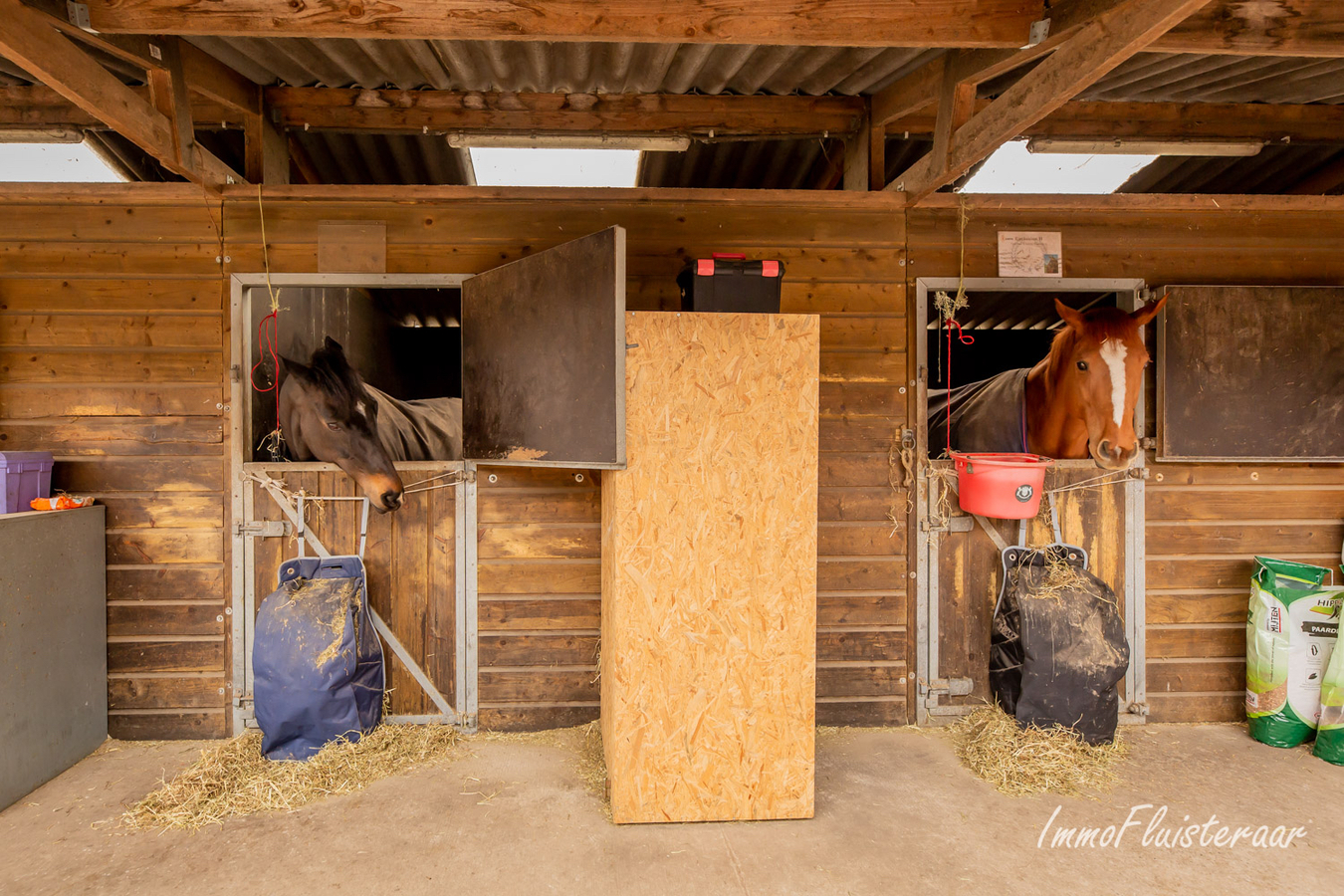 Charmante woning met paardenaccommodatie op 3,7ha te Rijkevorsel 