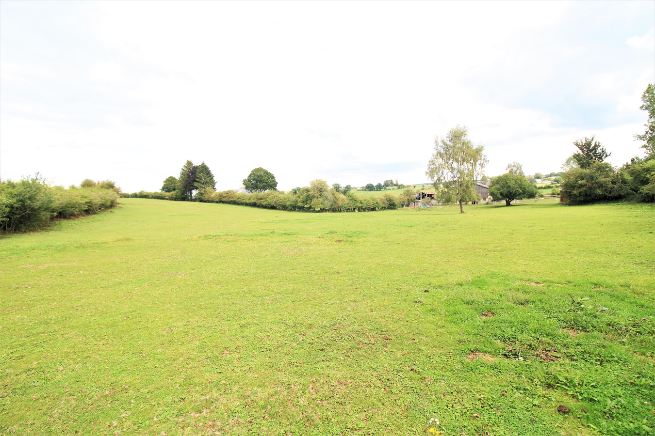 OPTION - Maison avec d&#233;pendances et pr&#233;s sur environ 1,64ha &#224; Ambl&#232;ve (Li&#232;ge) 