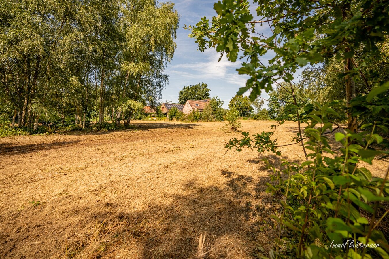 Neat house with 4 stables on approximately 75 acres in Tielt-Winge (Flemish Brabant) 