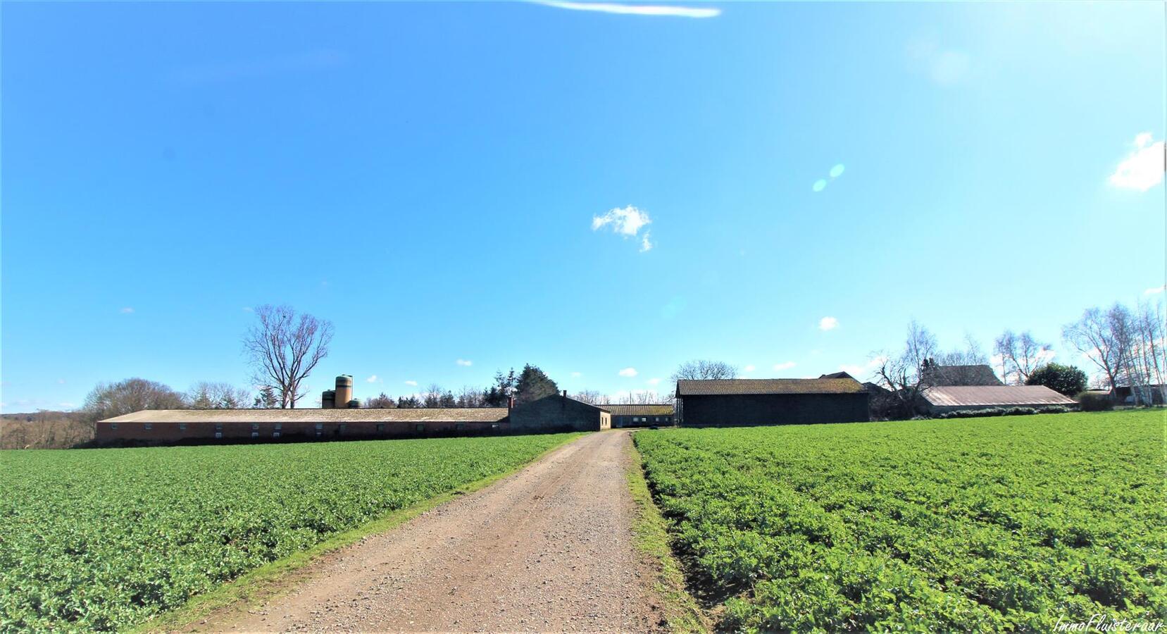 Te renoveren boerderij met hoevewoning, loods, stalgebouwen en weiland op ca. 1,61ha te Scherpenheuvel-Zichem (Vlaams-Brabant) 