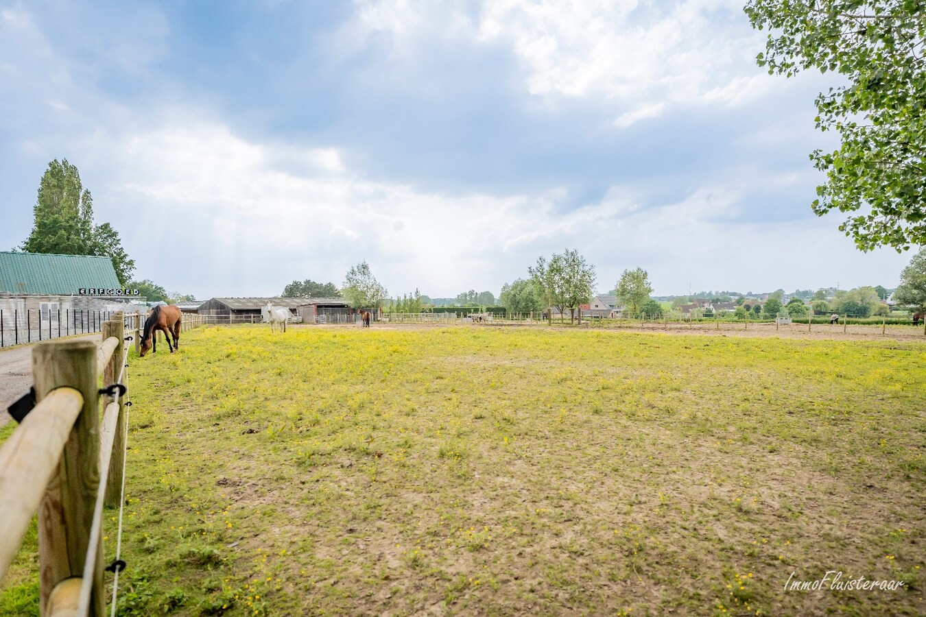 Charmante woning met hippisch complex op ca. 1,5 ha te Temse 