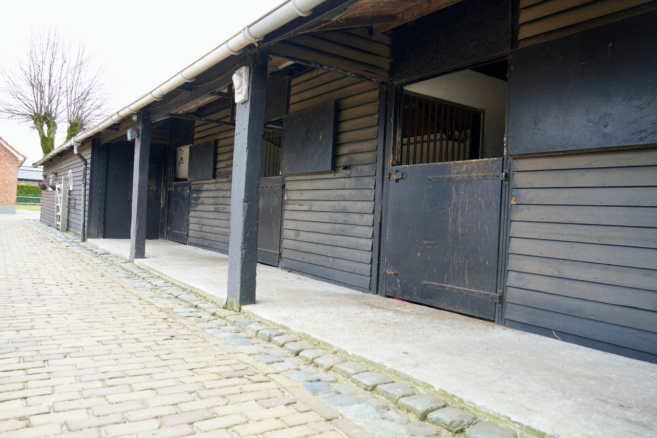 Charmante woning met stallen en aanhorigheden te Poppel op 1,1ha 