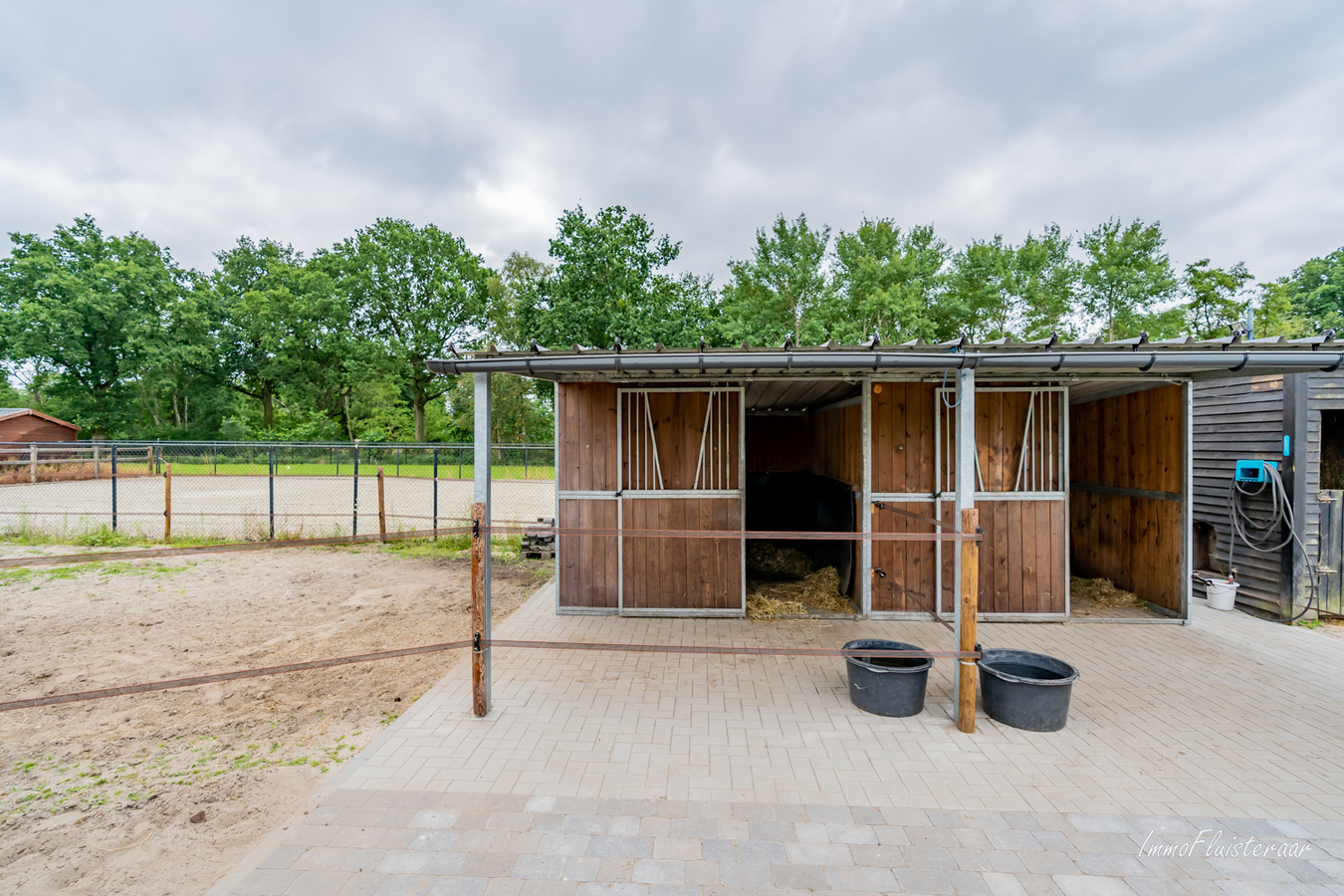 Instapklare villa met paardenstallen en weide op ca. 50 are te Leopoldsburg. 