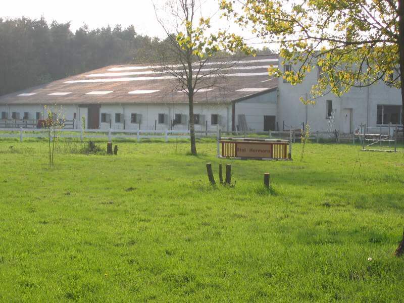 Paardenstoeterij op ca. 6ha met binnen-en butienpiste 