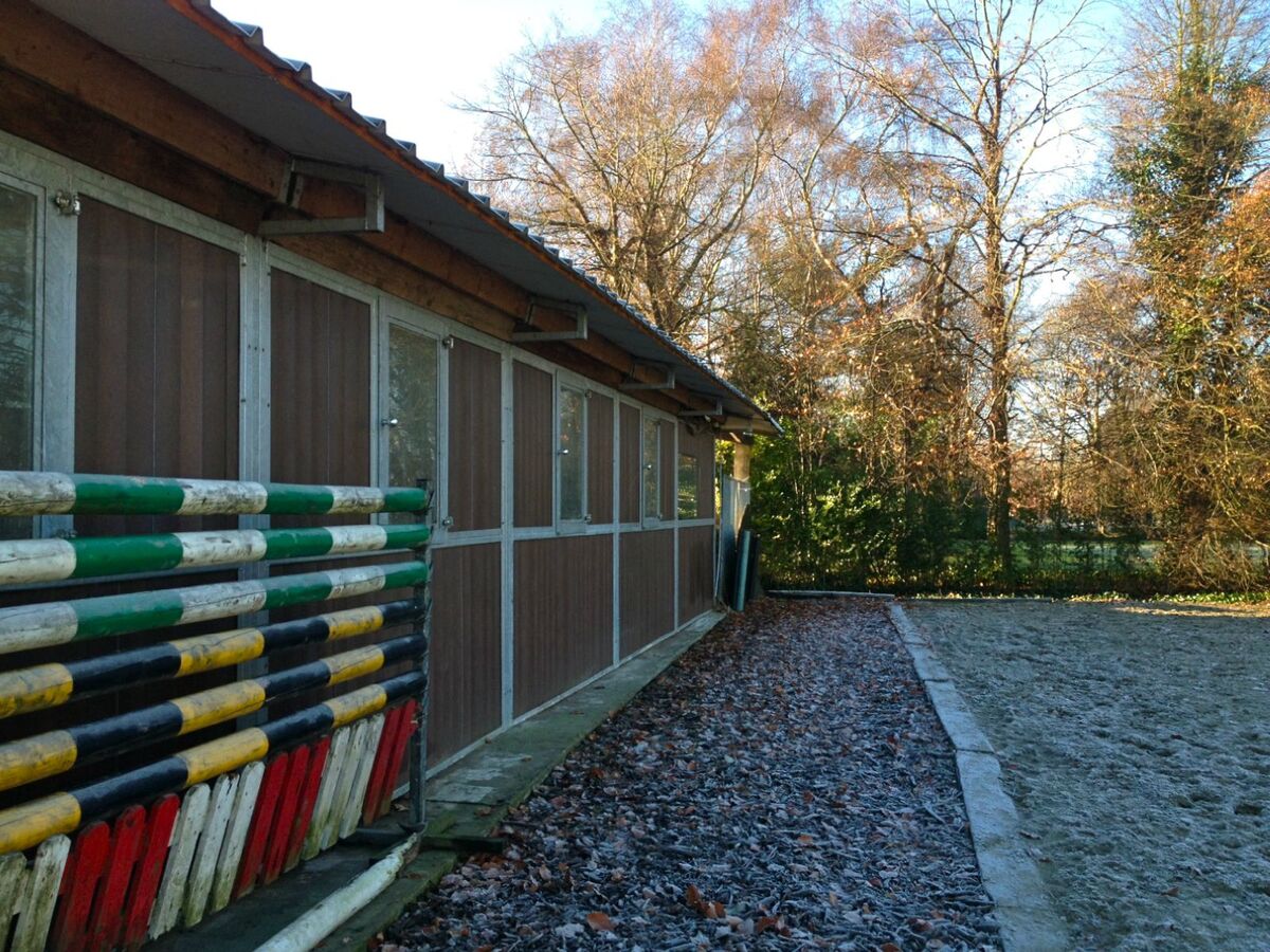 Weide met stalgebouw, buitenpiste en paddock op ca. 1,5ha te Kontich 