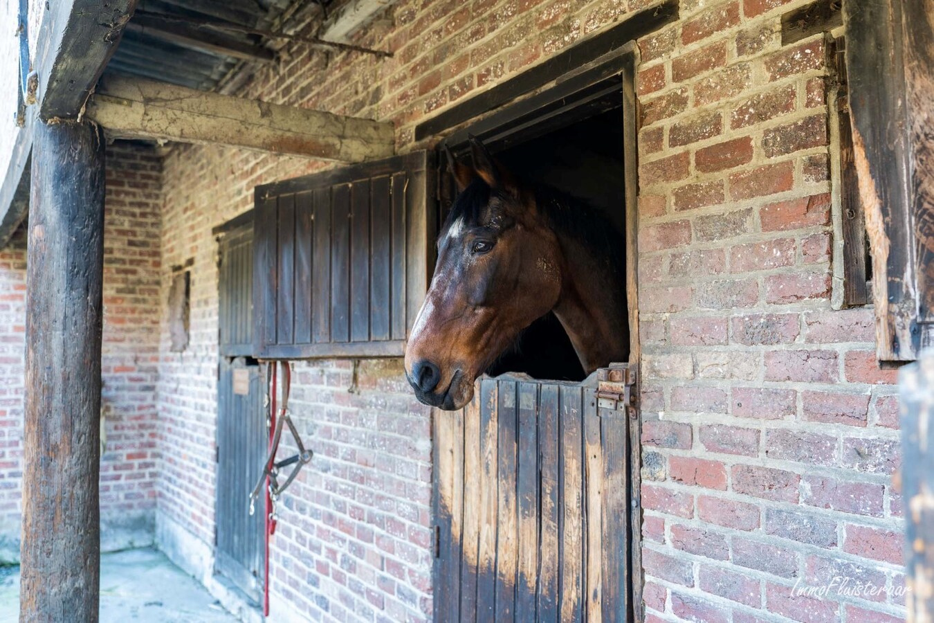 House with horse accommodation/ riding school on approx. 1ha in Mollem (Asse; Flemish Brabant) 