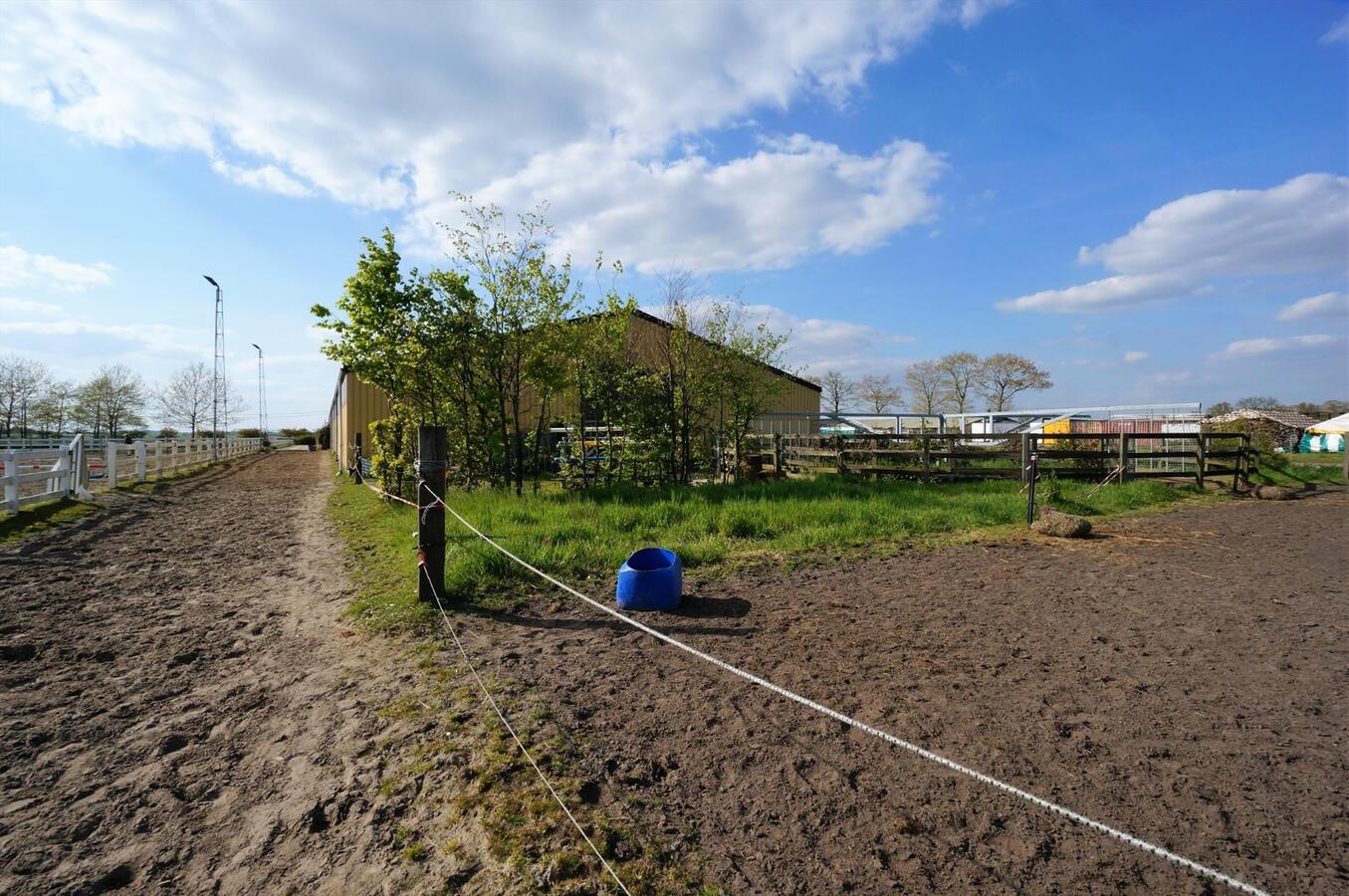 Hippisch complex op 2,6 ha te Loenhout (Wuustwezel) 