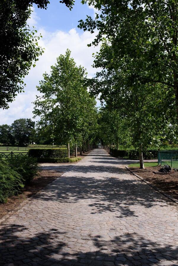 Exclusive domain with indoor arena on approximately 20ha in Meeuwen-Gruitrode 