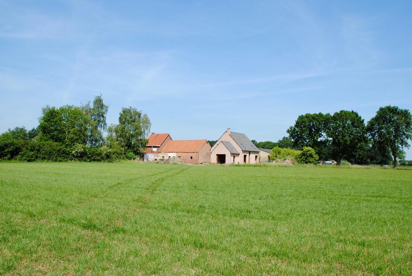 IN OPTIE; Ruwbouw woning met te renoveren stalgebouw op ca. 1,66 ha te Olen 