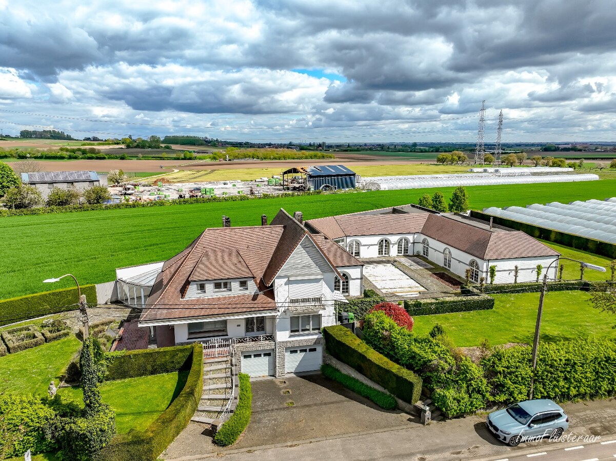 Unique property with two spacious houses on a plot of approximately 35 acres in Bilzen. 