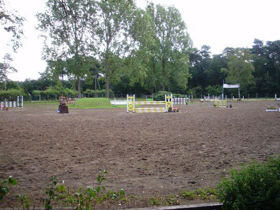 Paardenstoeterij op ca. 6ha met binnen-en butienpiste 