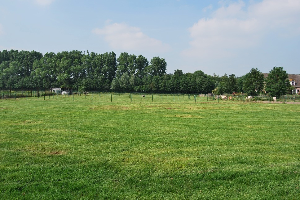 Villa op ca. 1,3ha aan de Leie te Petegem-aan-de-Leie 