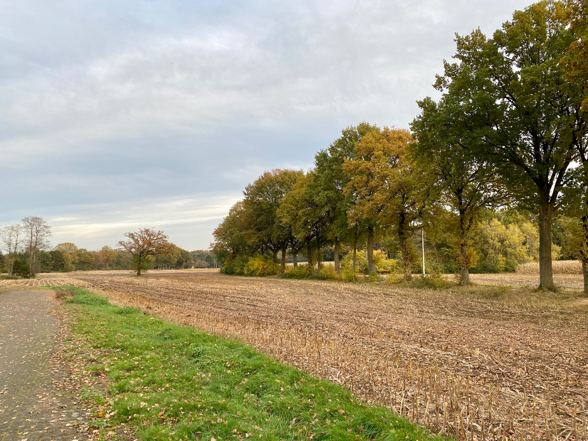 Farm sold in Heusden