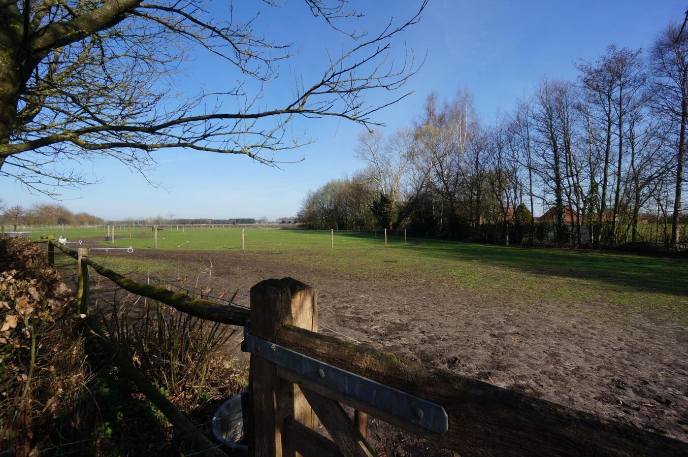 Hoeve met stallen en weide op ca. 1,12 ha te WEELDE 